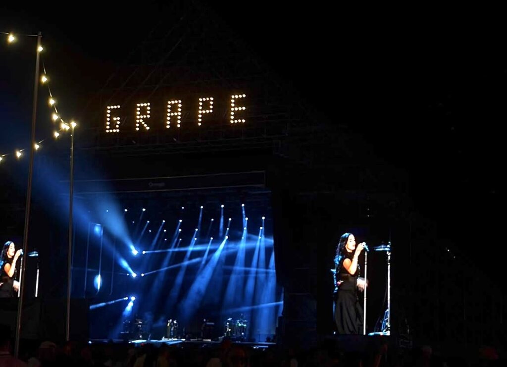 Arytmia mikro-komunity a žánrová katarzia na Grape